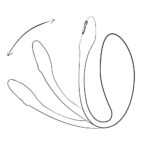 We-Vibe - Jive Lite - Paars - Afbeelding 9