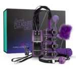 Secret Pleasure Chest X Bedroom fantasies - Purple Apprentice