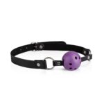 Secret Pleasure Chest X Bedroom fantasies - Purple Apprentice - Afbeelding 2