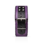 Secret Pleasure Chest X Bedroom fantasies - Purple Apprentice - Afbeelding 4