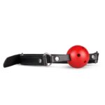 Secret Pleasure Chest X Bedroom fantasies - Red Dragon - Afbeelding 2