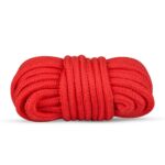 Secret Pleasure Chest X Bedroom fantasies - Red Dragon - Afbeelding 6