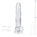 Jelly Dildo met ballen - 17 cm - Afbeelding 8